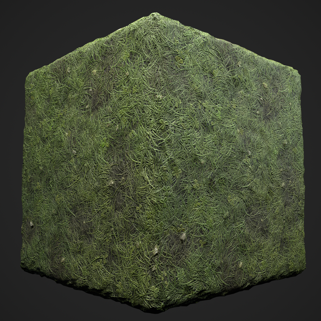 Grass
